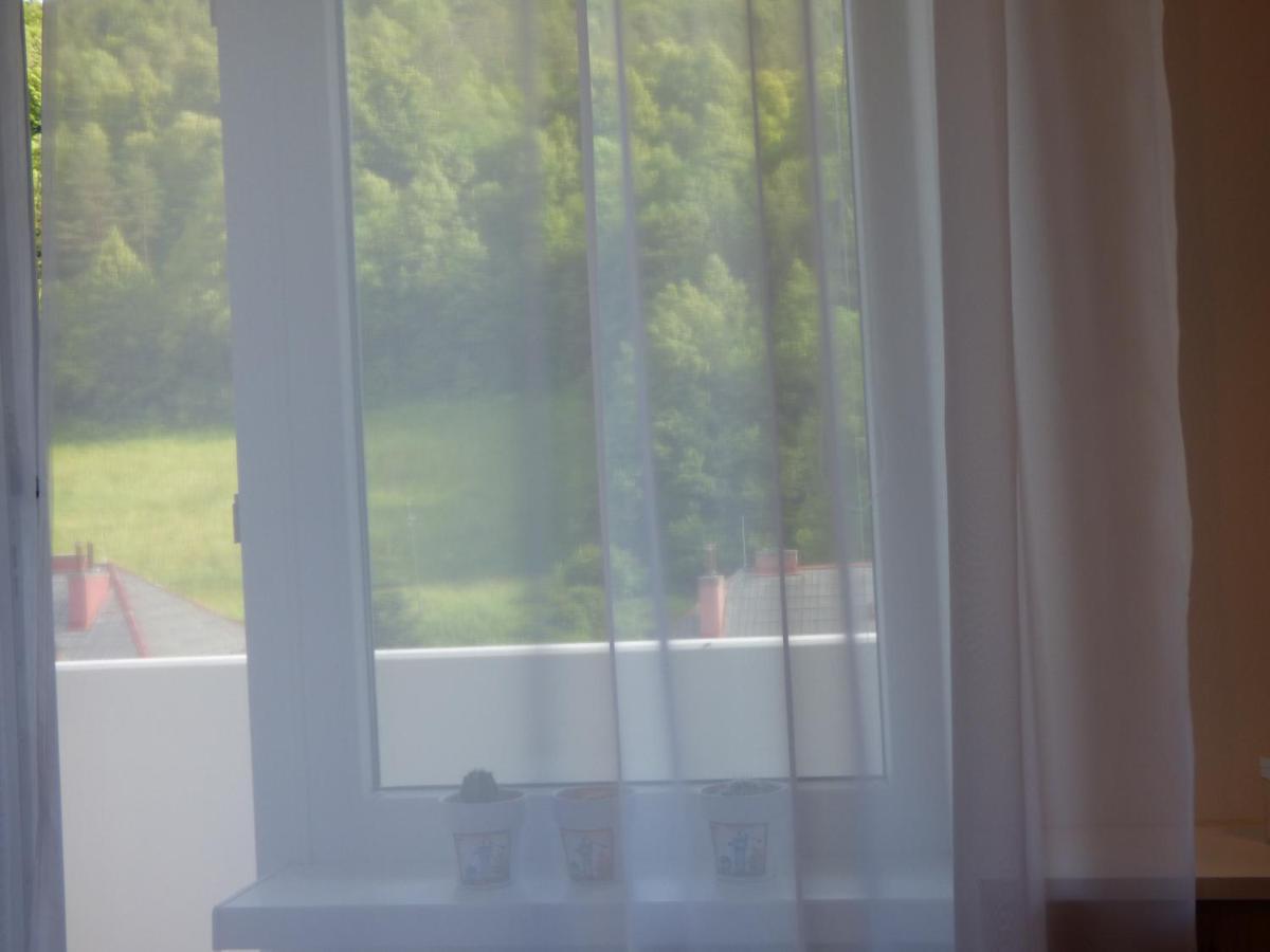 Apartman Dolinky Vyhne Exteriér fotografie